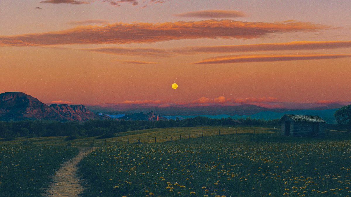 POSTWOOK's tweet image. art I’ve made that inspires me to make more art