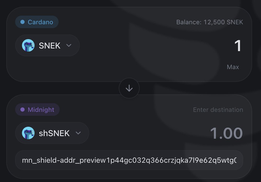 You already love $SNEK.

Now imagine shSNEK.

I’m building a bridge that shields every Cardano Native Token ever minted.