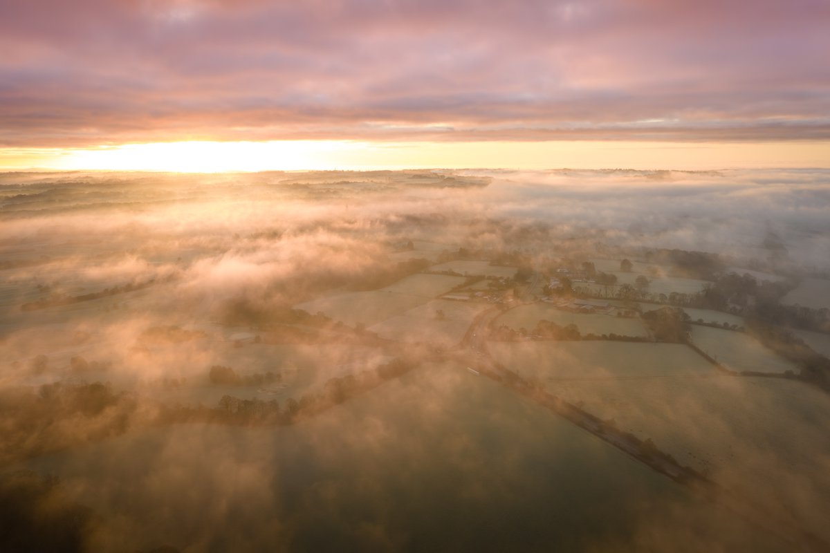 Ross Farnham tweet media