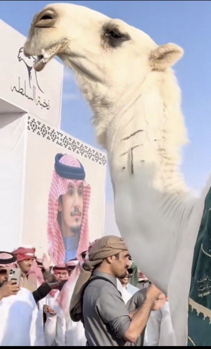 ياشبه وضحً مع السلطه 
امحقق الفوز راعيها

اليا اقبلت سببت جلطه
فالزين منهو يناحيها

/ عبدالاله الذيابي 

#السلطه #محمد_بن_ناصر_السلطه #شلفا_ولي_العهد_الوضح