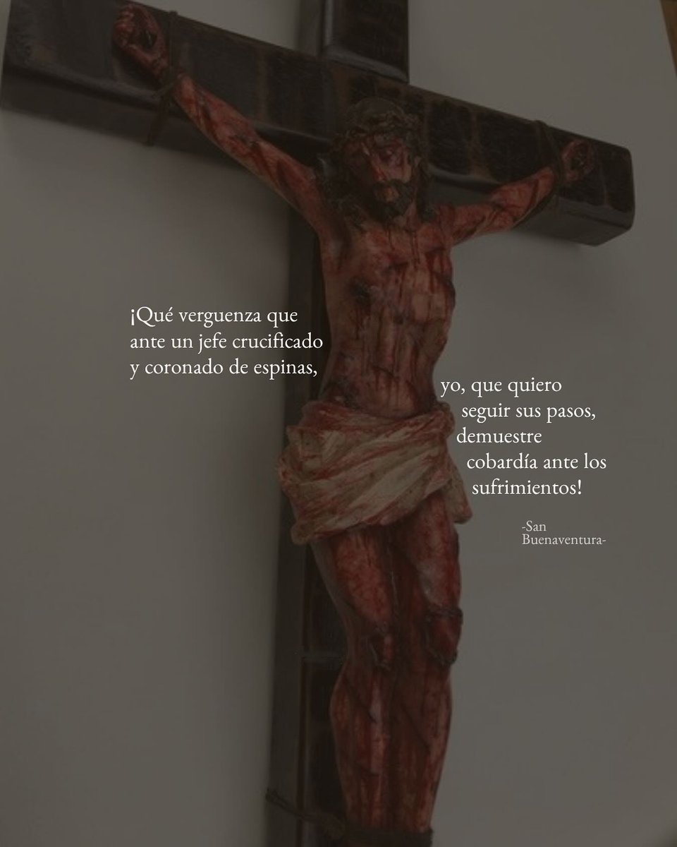 unseglar's tweet image. 