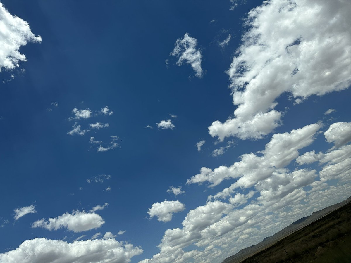 Kate Groch tweet media