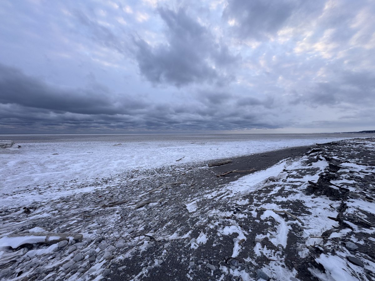 resepuff3's tweet image. Lake Erie but it feels like Iceland