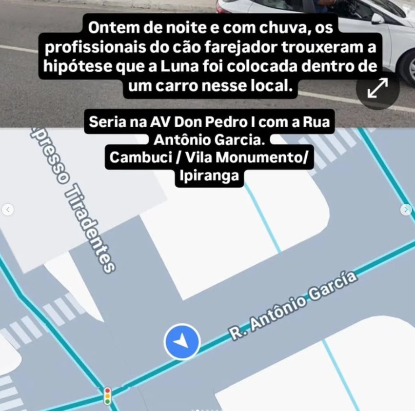 HitalloDuarte's tweet image. Luna, Desaparecida.
Tem patinhas marrom, corpo preto, barriguinha rosa com  pelos brancos.
Última vez vista na AV Don Pedro I e depois seguiu para Rua da Independência, ali pela Aclimação, Vila Monumento, Ipiranga. Talvez ela tenha tentado fazer o caminho de volta pra casa.