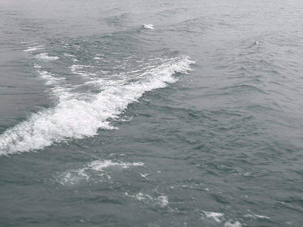 彷彷彿彿天地那麼自由