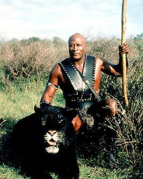 Drednot73's tweet image. 🌞⚔️🐆🦦🙋‍♂️🦦🐆⚔️🌞 Wow What a Great 🐆⚔️Beastmaster ⚔️ 🐆 Poster #MarcSinger #JoshuaMilrad  ... What a Shame That #TanyaRoberts died On Jan4 2021 and  #JohnAmos on Aug21 2024 and #RipTorn on July9 2019 🌈🐆🦦🙋‍♂️🦦🐆🌈