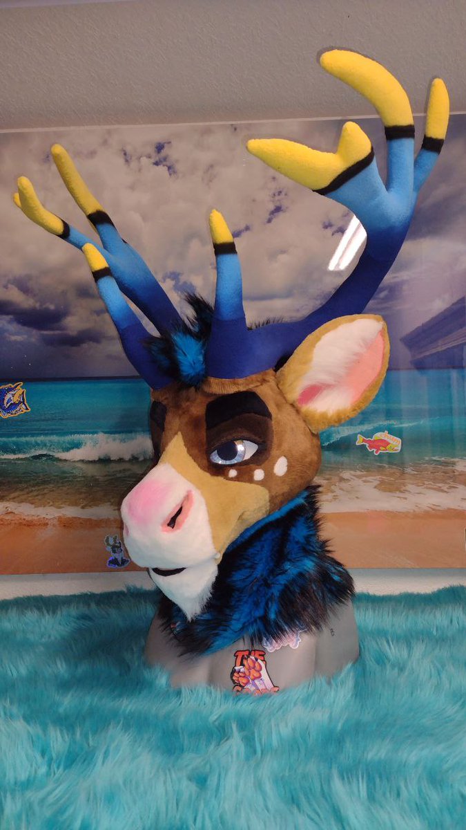 BNCreation tweet media