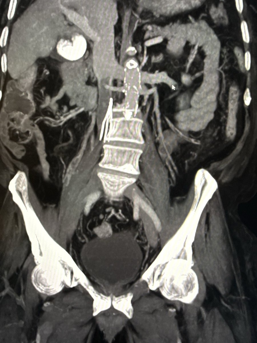 Harris Chengazi tweet media