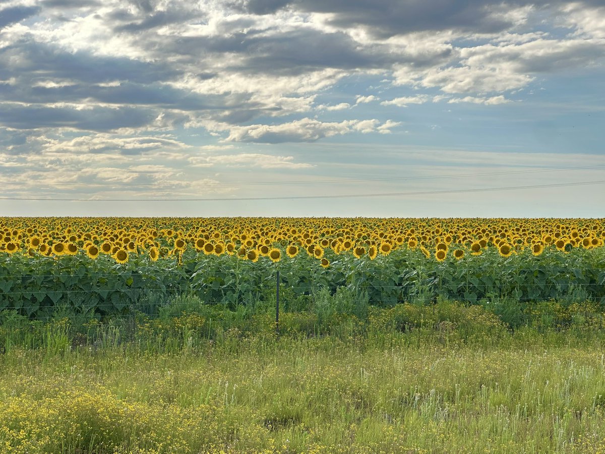 Kate Groch tweet media