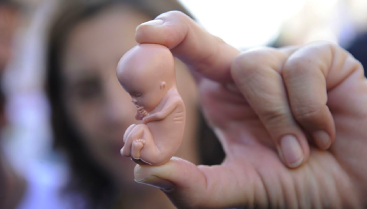 _Pantocrator's tweet image. Έλληνες Ιεράρχες επέκριναν το σχέδιο της Ευρωπαϊκής Ένωσης για τη χρηματοδότηση των αμβλώσεων

“ὅτι σὺ ἐκτήσω τοὺς νεφρούς μου, Κύριε, ἀντελάβου μου ἐκ γαστρὸς μητρός μου“.

#ΖῆΚύριοςὁΘεόςὁΠαντοκράτωρ

pantocrator.gr/ellines-ierarc…