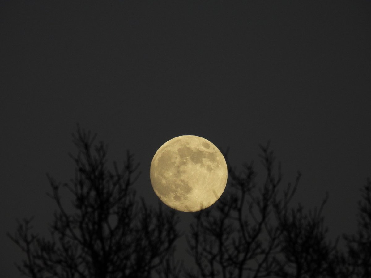 Tonights full wolf moon over ryhill Wakefield <a href="/kerriegosneyTV/">Kerrie Gosney</a> <a href="/itvweather/">ITV Weather</a> <a href="/Hudsonweather/">Paul Hudson</a> <a href="/Abbiedew/">Abbie Dewhurst</a> <a href="/KeeleyDonovan/">Keeley Donovan</a> <a href="/katerinaweather/">Katerina Christodoulou</a> <a href="/bbcweather/">BBC Weather</a> <a href="/Expwakefield/">Experience Wakefield</a> <a href="/MyWakefield/">Wakefield Council</a> <a href="/WakeExpress/">Wakefield Express</a> <a href="/journoLeanneC/">Leanne Clarke</a> <a href="/WkfdOfficial/">Wakefield Official News</a> <a href="/ThePhotoHour/">#ThePhotoHour</a> <a href="/metoffice/">Met Office</a> #moon #wolfmoon