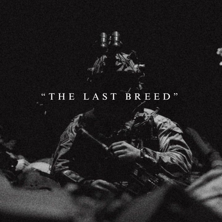 blackdreamvibes's tweet image. 