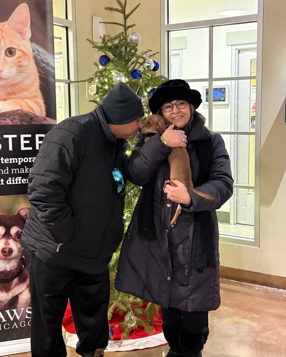 PAWSChicago tweet media