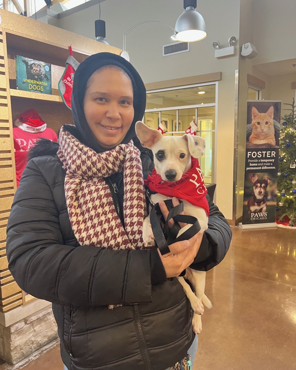 PAWSChicago tweet media