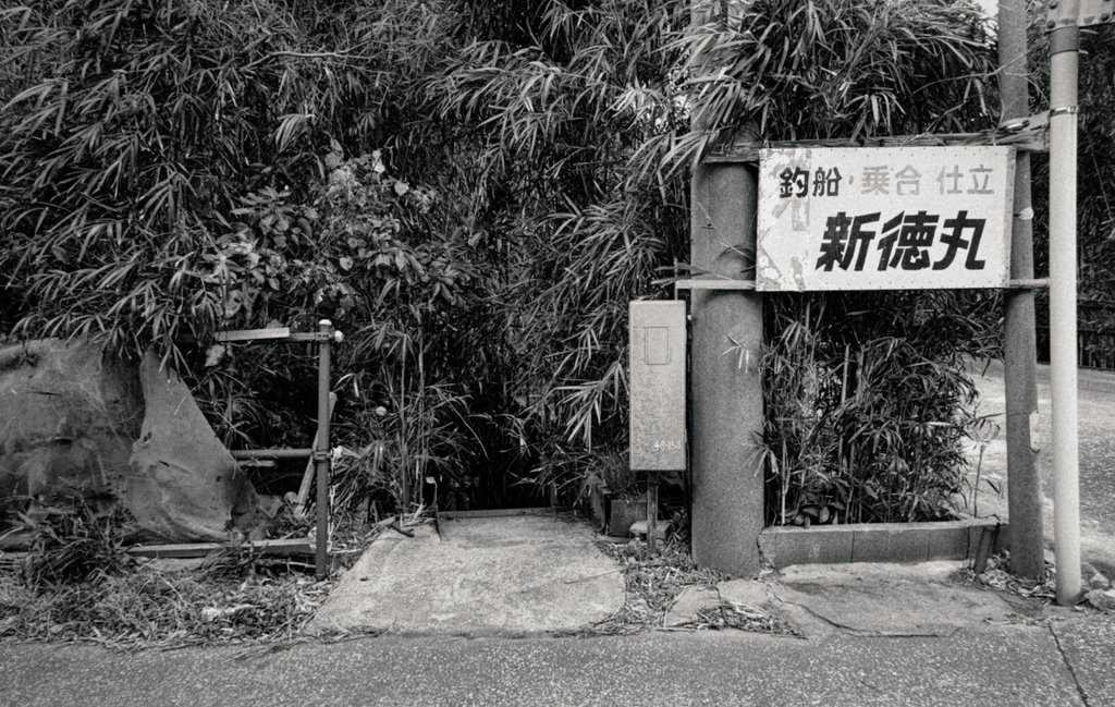 早乙女ボブ (@bob_saotome) on Twitter photo 