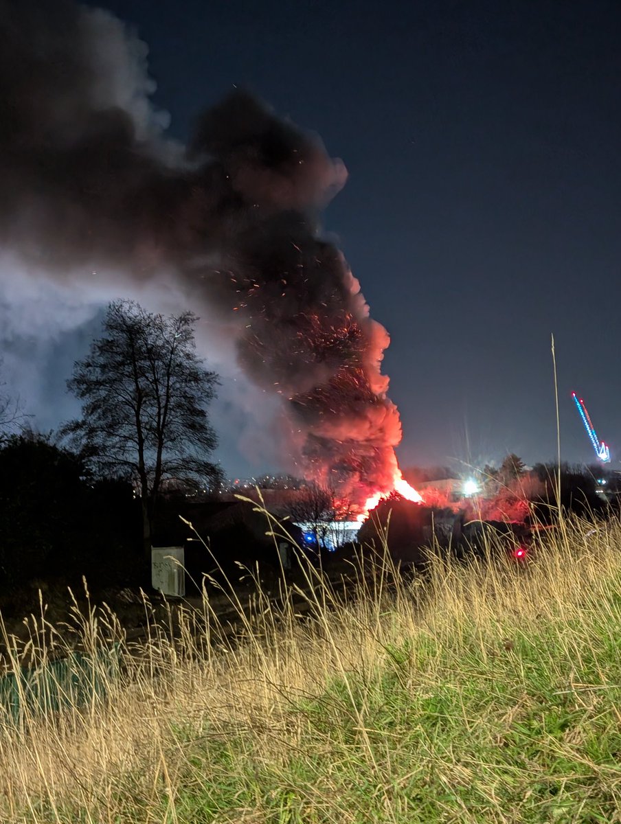 Julia Suzanne 🇬🇧🐈‍⬛🥂🍹 tweet media