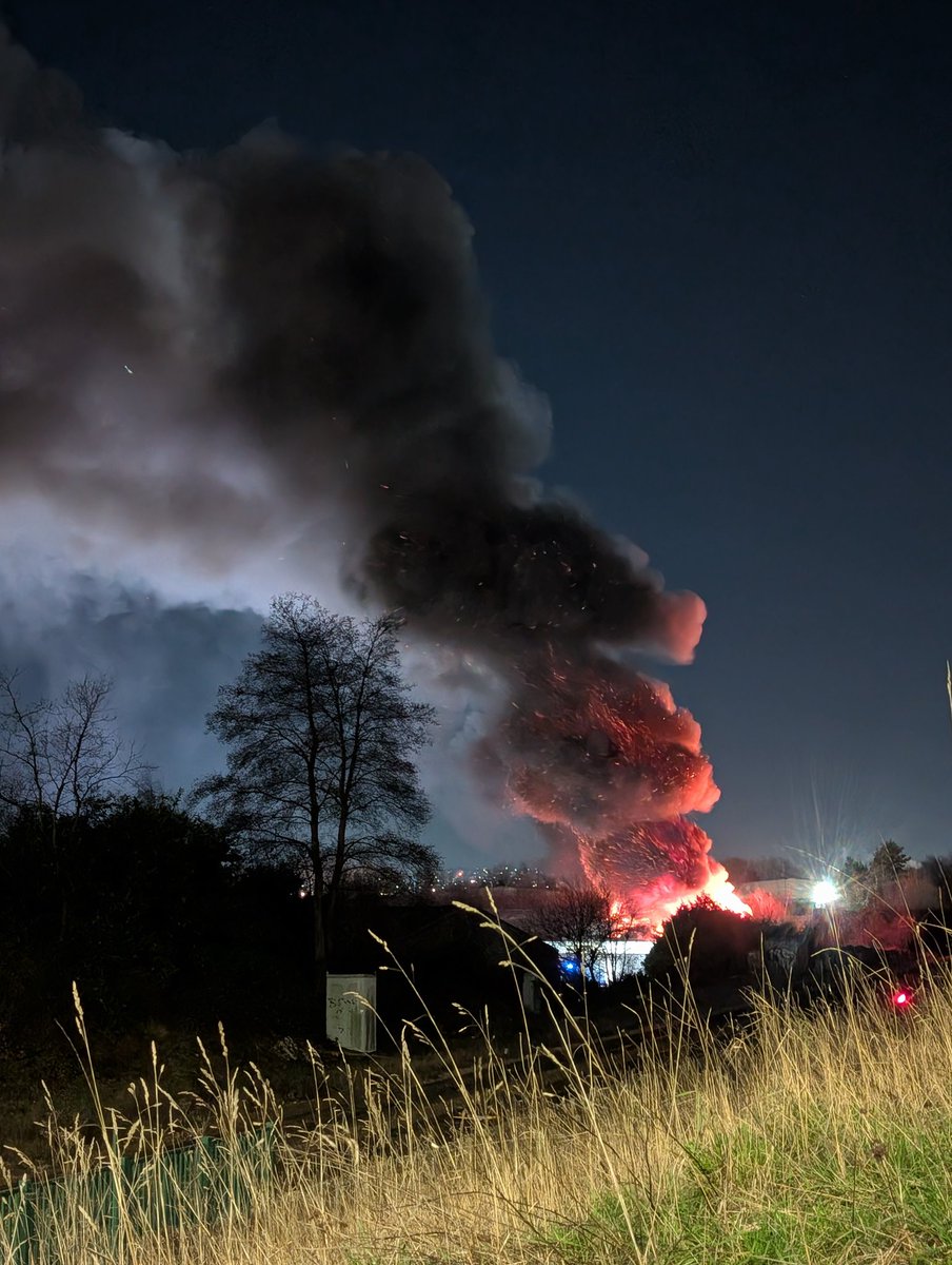 Julia Suzanne 🇬🇧🐈‍⬛🥂🍹 tweet media