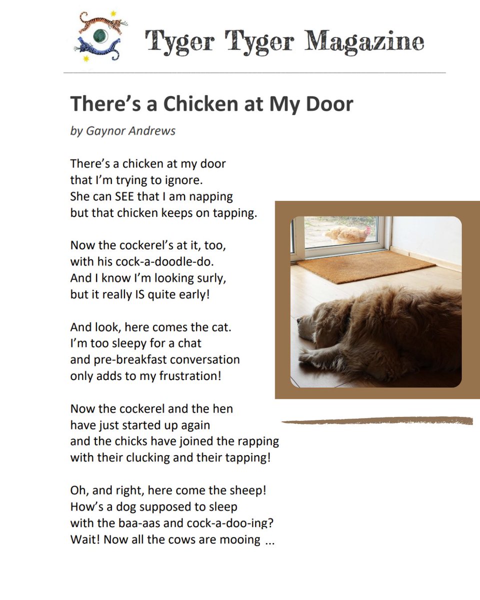 Gaynor Andrews tweet media