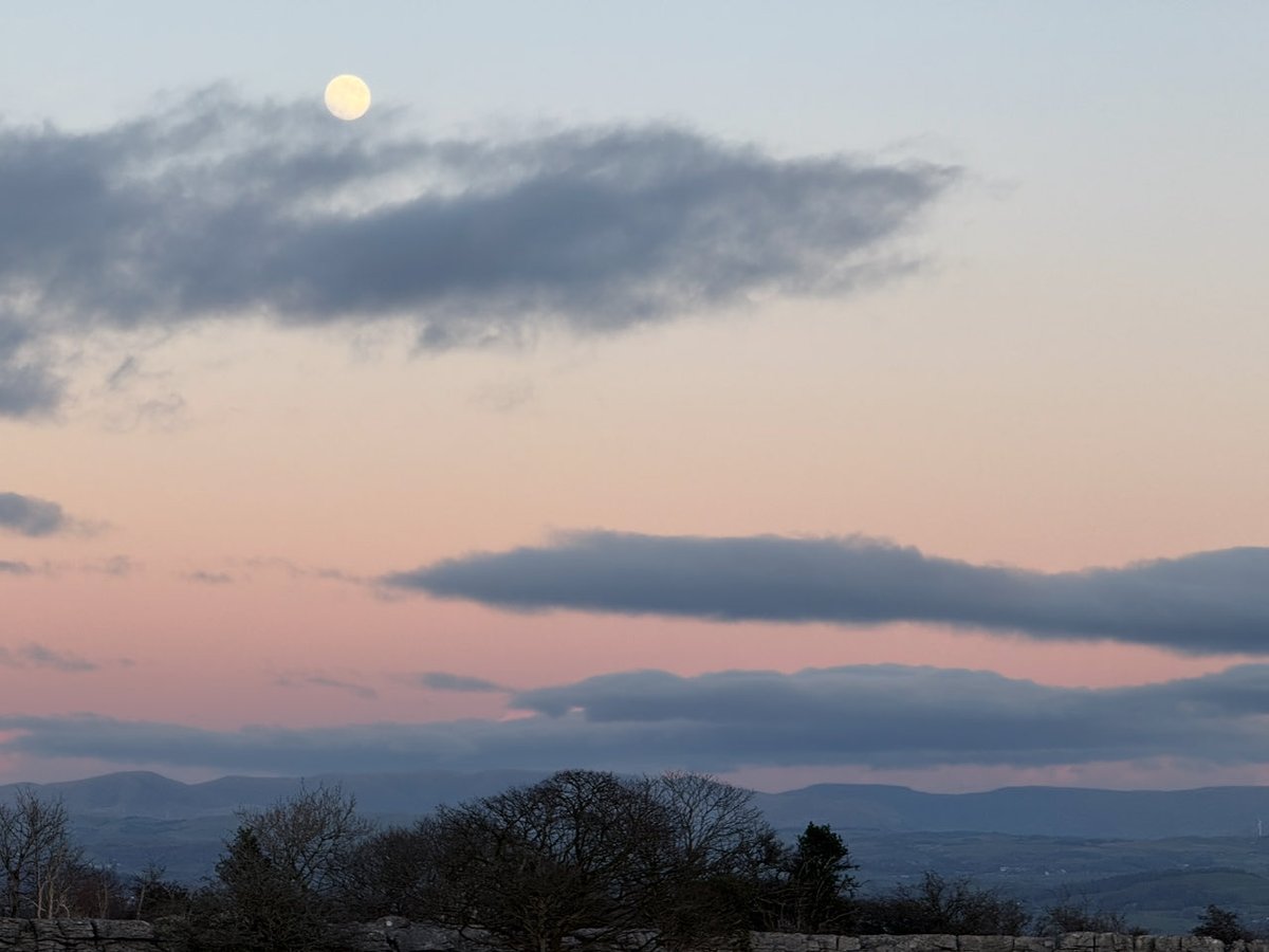 scope_views's tweet image. First moonlit walk of 2026 😊