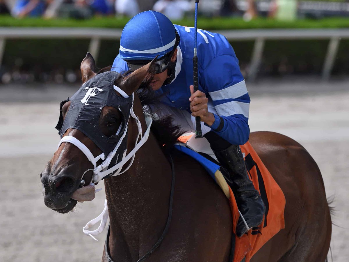 First Dude tweet media