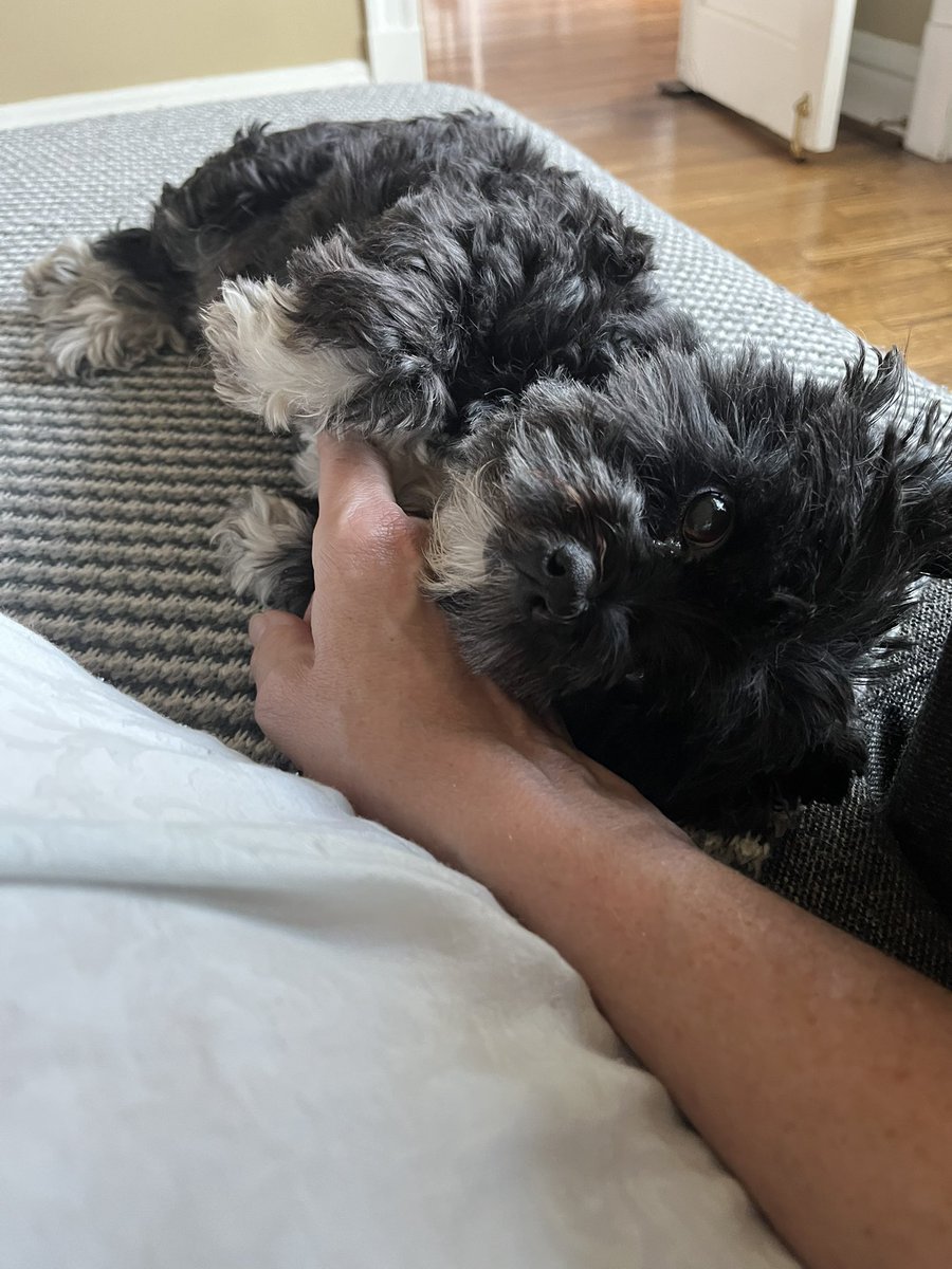 Worm Chowder | foolish art 📌 tweet media