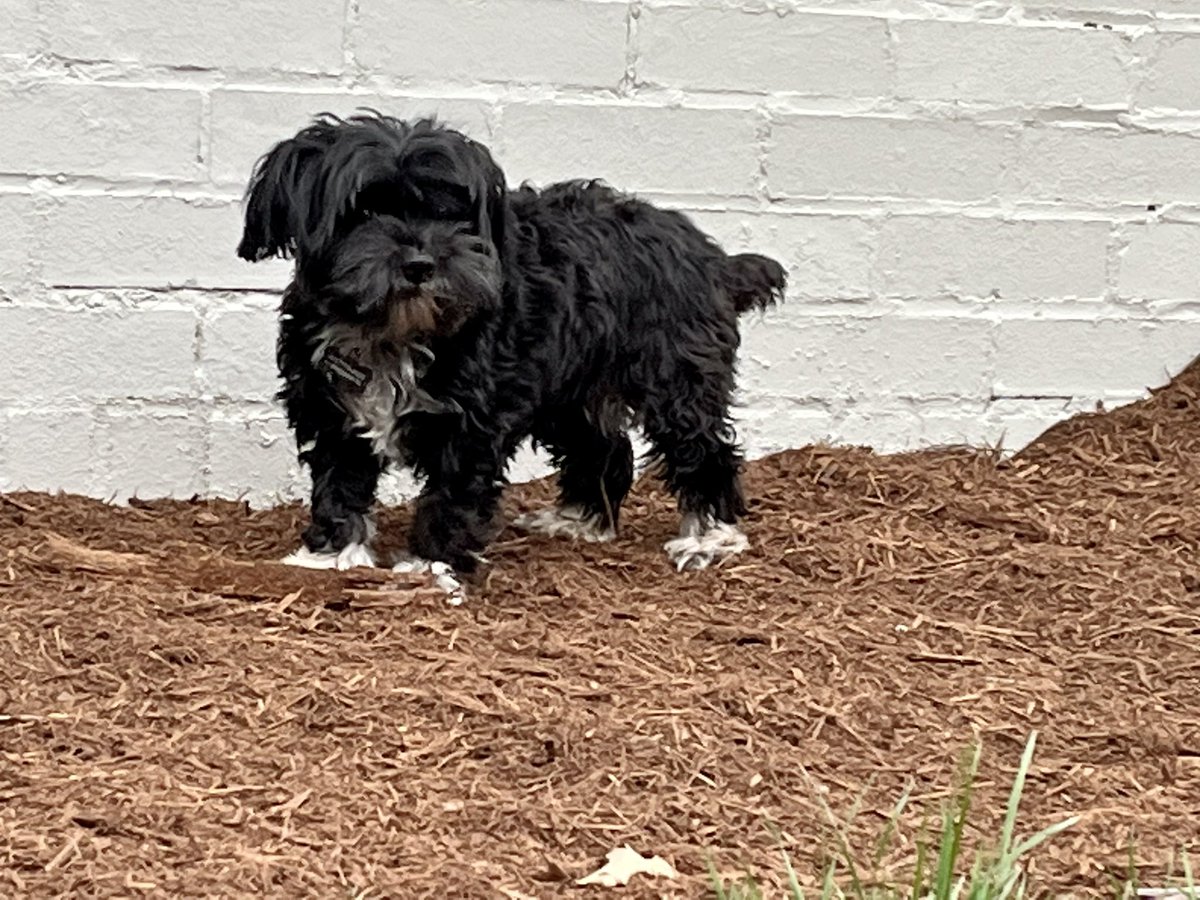 Worm Chowder | foolish art 📌 tweet media