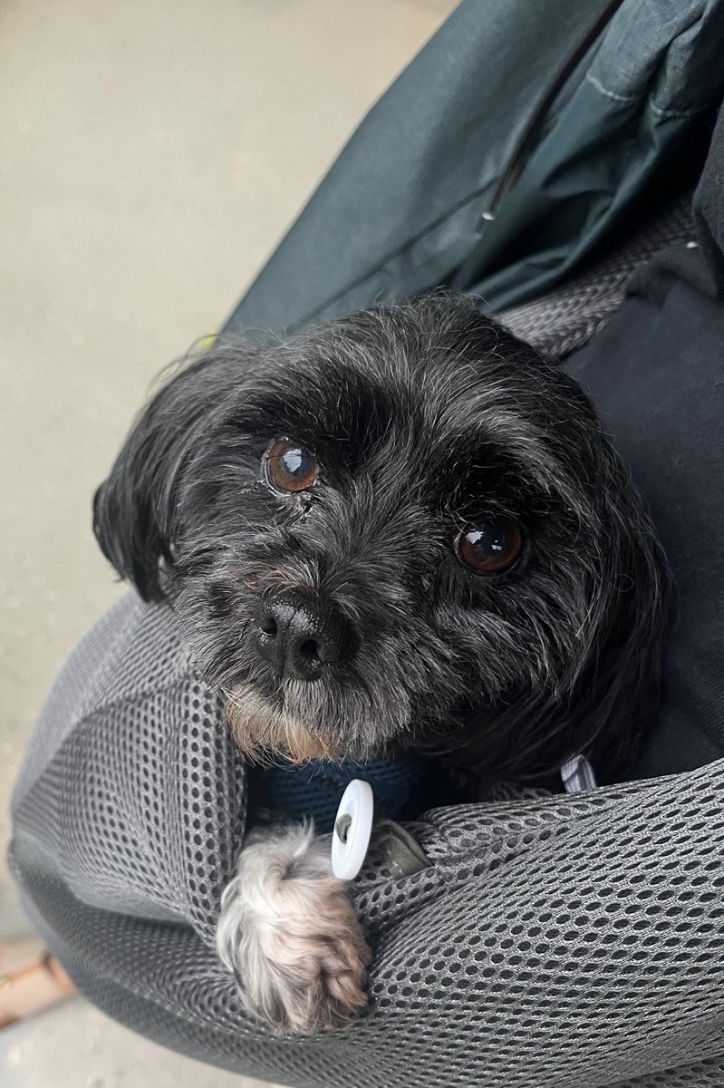 Worm Chowder | foolish art 📌 tweet media