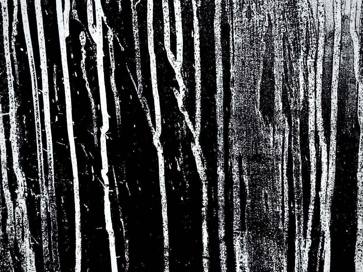Avantologist's tweet photo. stems
#arizona #phxart #bnw #monochrome https://t.co/OUr15M9Ngi