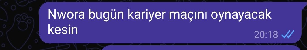 Sevil AK (@cat_sneeze) on Twitter photo 