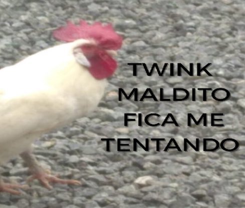 ttdopedrolobo's tweet image. se o diabo não existe quem fez os twinks?