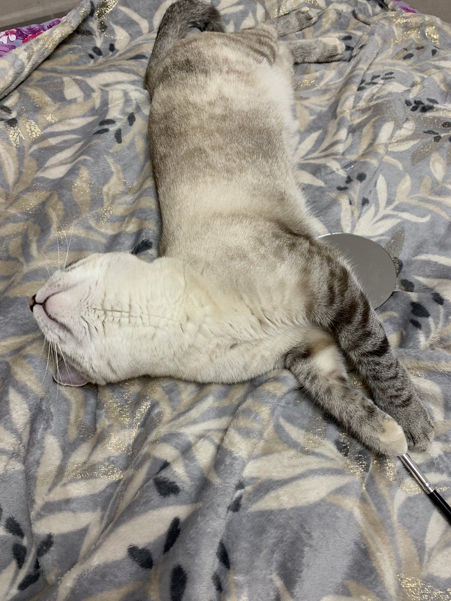 murrmason's tweet image. устала делать макияж и спит