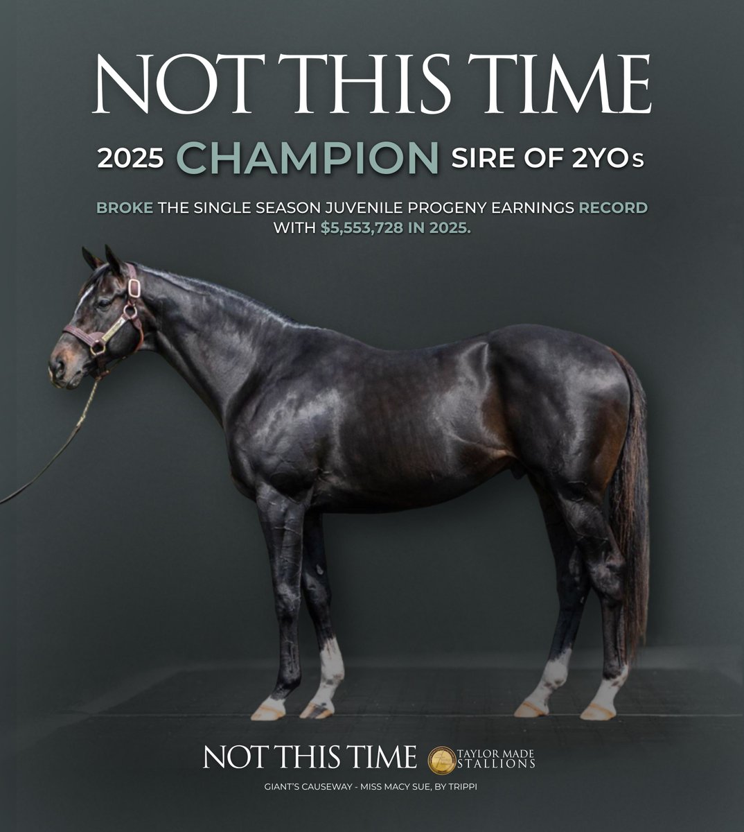TMStallions's tweet image. Record-breaking year.
2025 Champion Two-Year-Old Sire.
Not This Time.