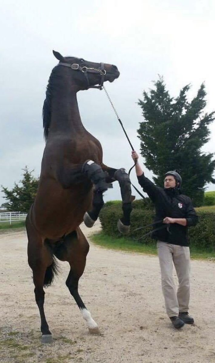 SMART ROBIN by Deep Impact