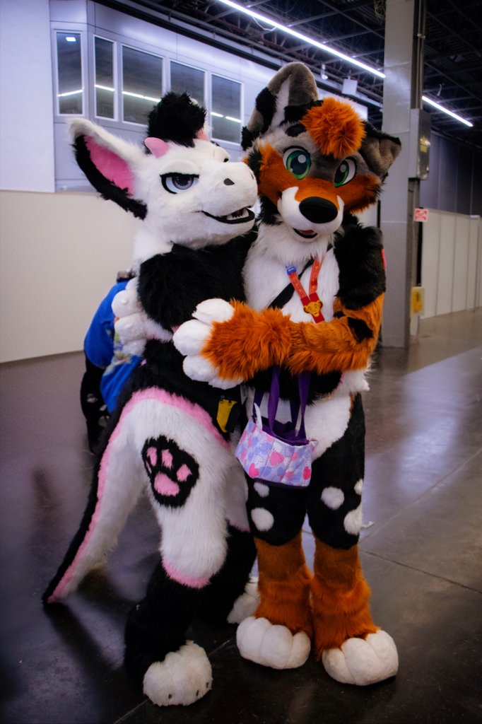 Sylderg's tweet image. For the first #FursuitFriday of this year I want to share some of my favorite pics of the previous one, thank you so much to: 

🐶: @SmokeyAussie 
🐯: @FurryTrashMx 
😺 (Not a cat, a lynx): @Niu_Ears_Up