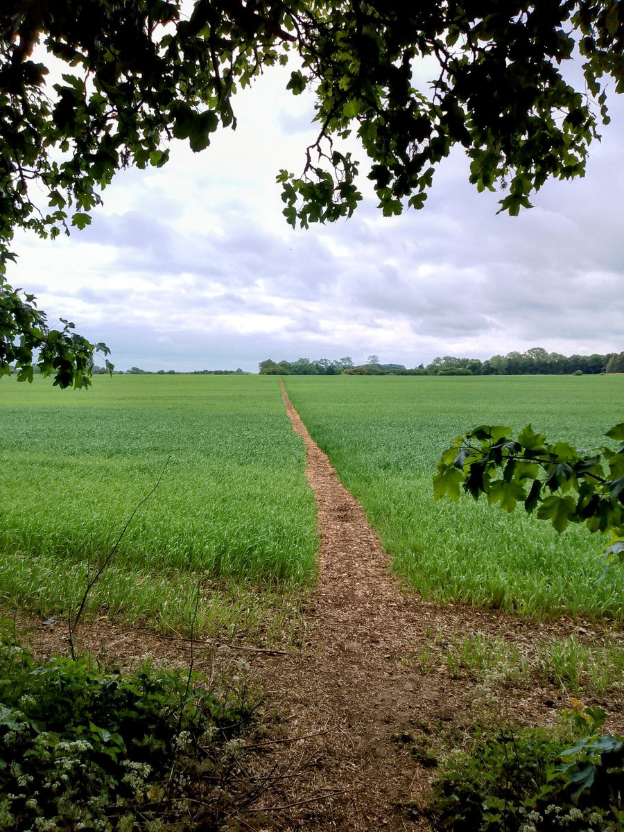 phil0073's tweet photo. From #Foxhall over #FaxtonFields. #PhilOnaBike (archive) #FootpathFriday #clouds https://t.co/LU1Gid64Ay