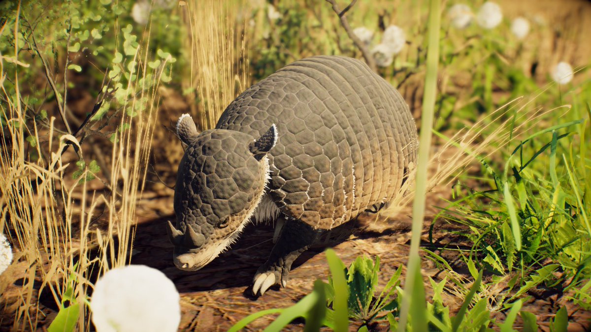 prehistoric fauna photography department 🦖 tweet media