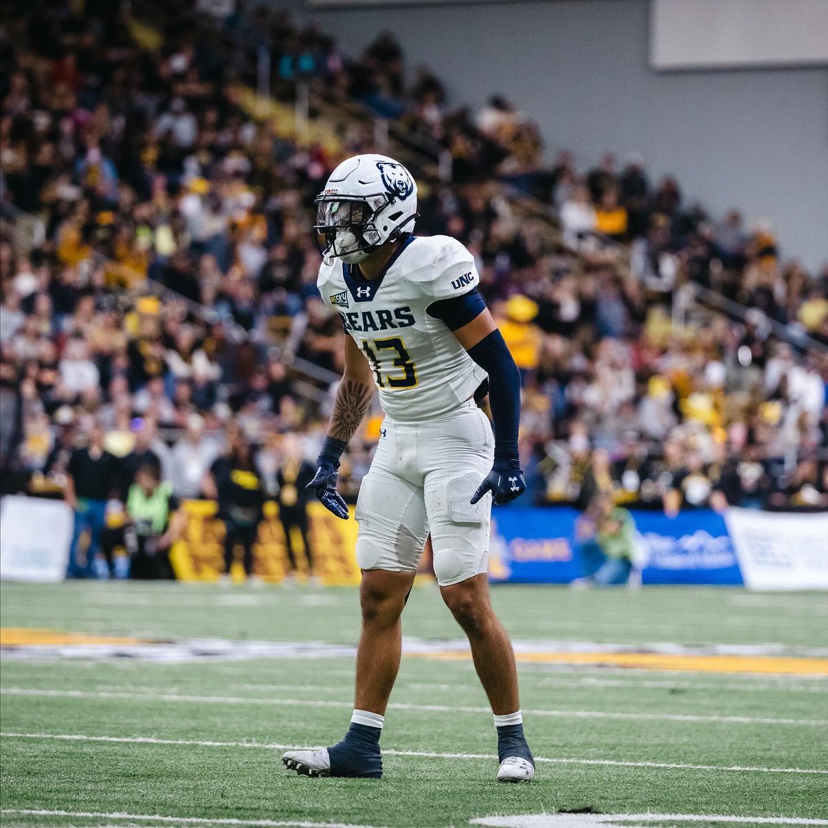 Cam Chapa tweet media