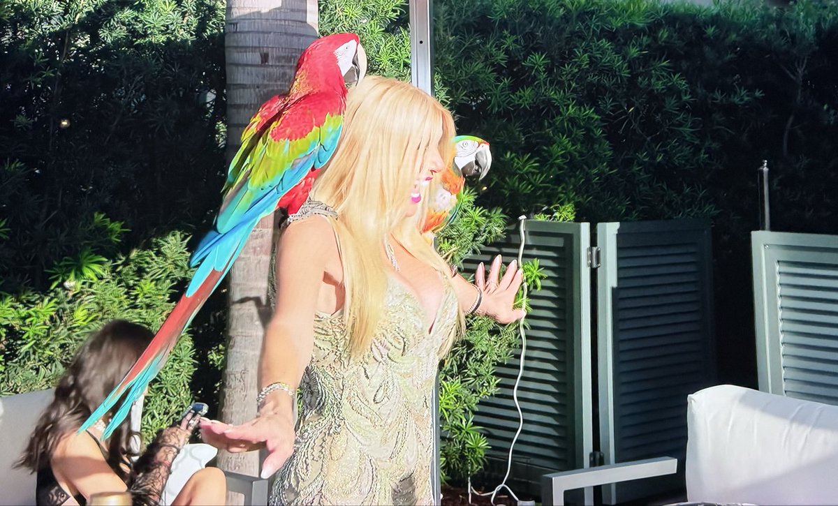 TheOvalPawffice's tweet photo. 🐾💔 Hey @netflix, shame on you for pawmoting animal abuse/trafficking on your shows. If that poor little monkey in a metal cage and exotic birds allowed to drink alcohol and used for profit at parties is “entertaining”, we lost the plot completely. Members Only show, ep 6. https://t.co/qJcEKl48R8