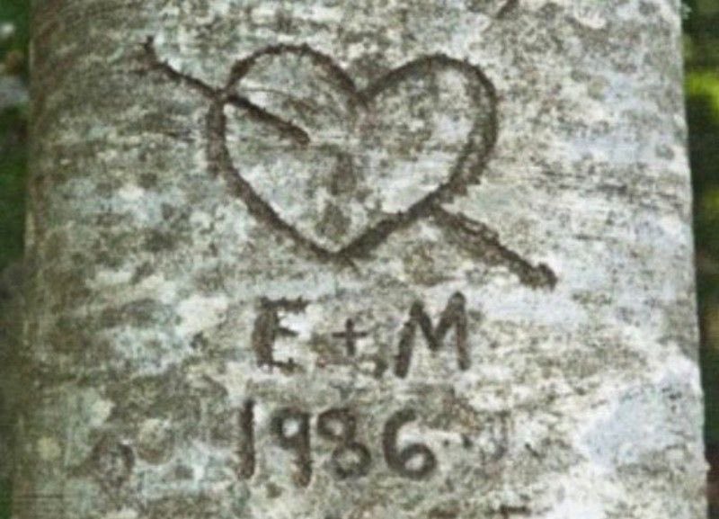 milevenisms's tweet image. icelandgate you are very real #tome