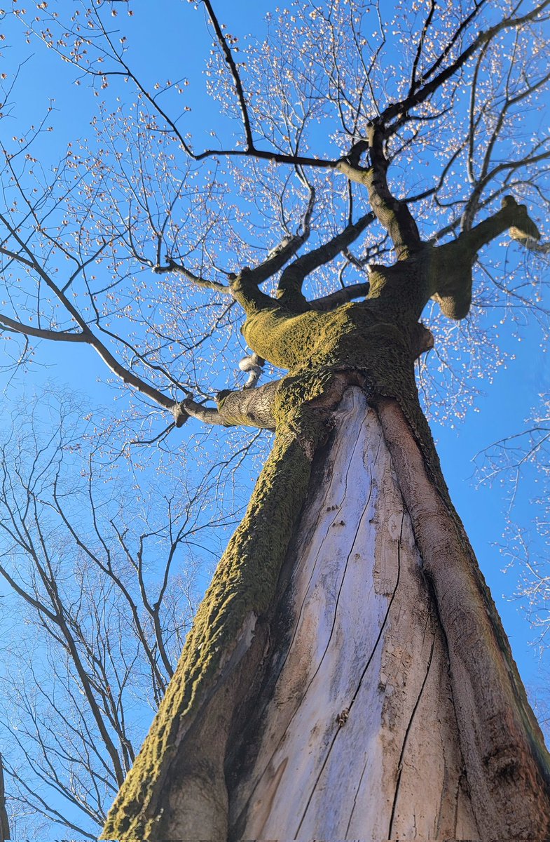 #駅ごと　未だやり残したこと　あると