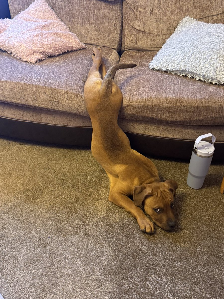 PrometheusKid's tweet image. I have no words for him anymore