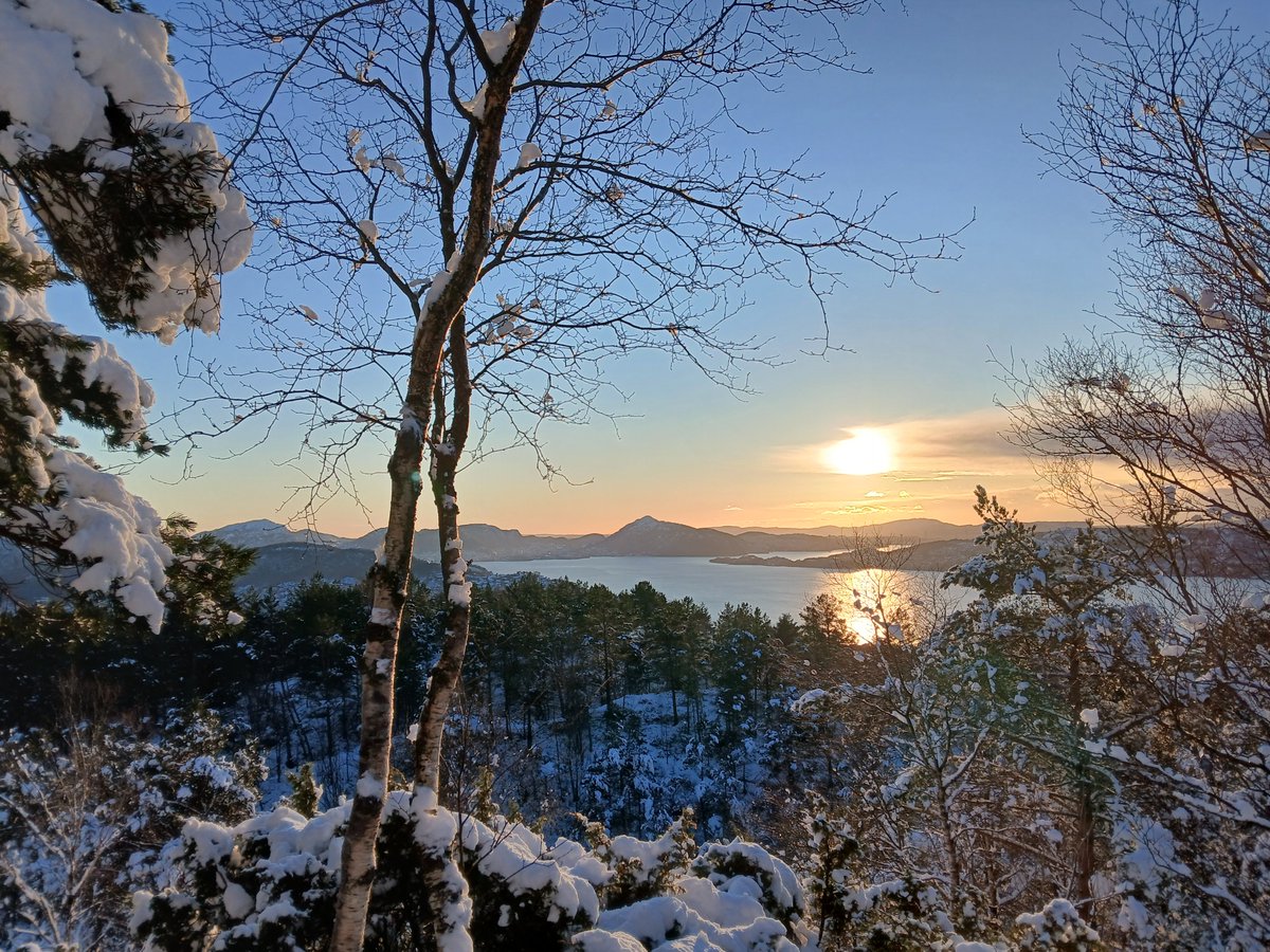 Iain Johnston tweet media