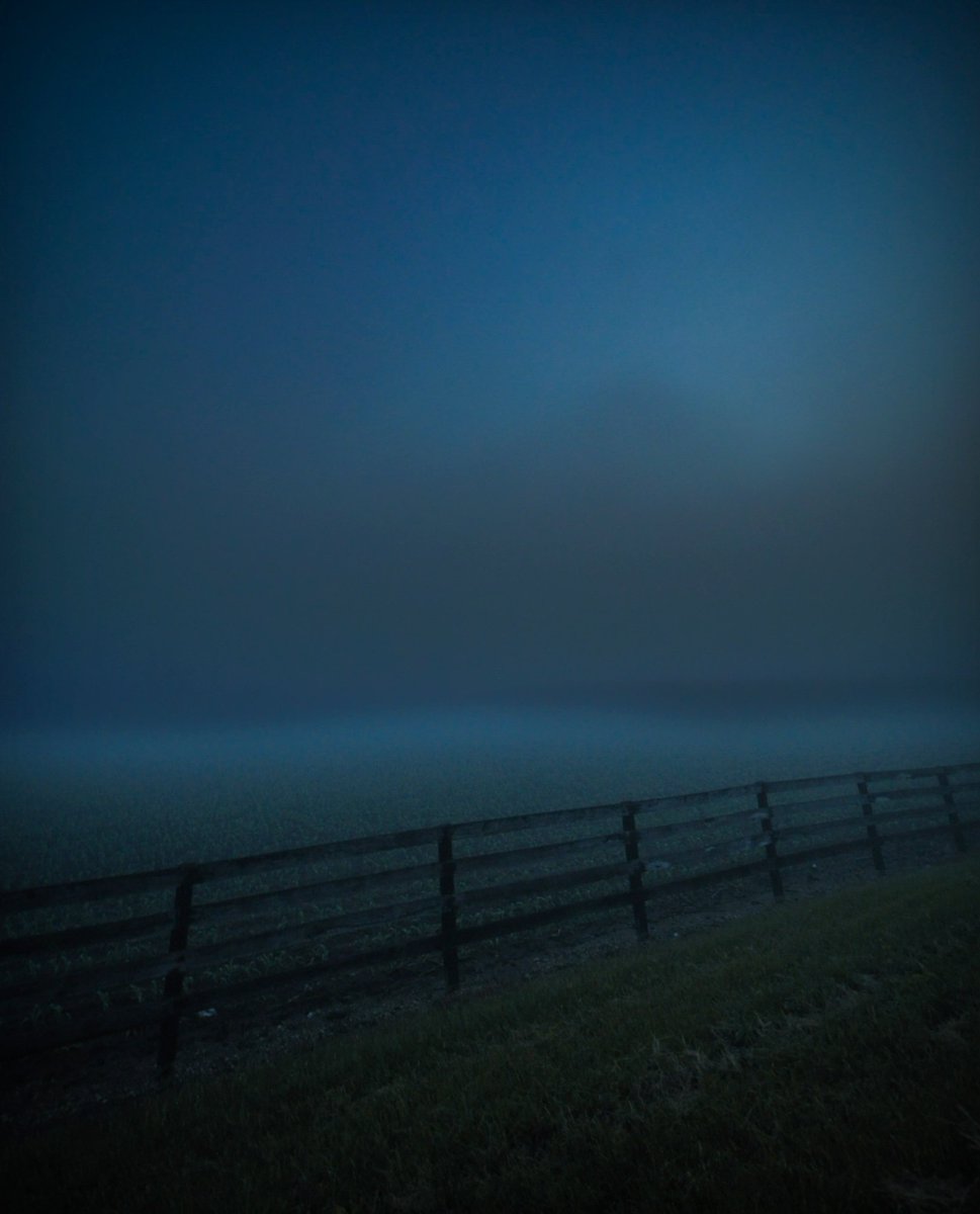 TideWorn_73's tweet image. don't sleep
   just dream