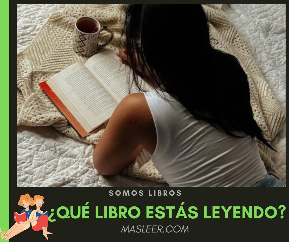 Más Leer tweet media