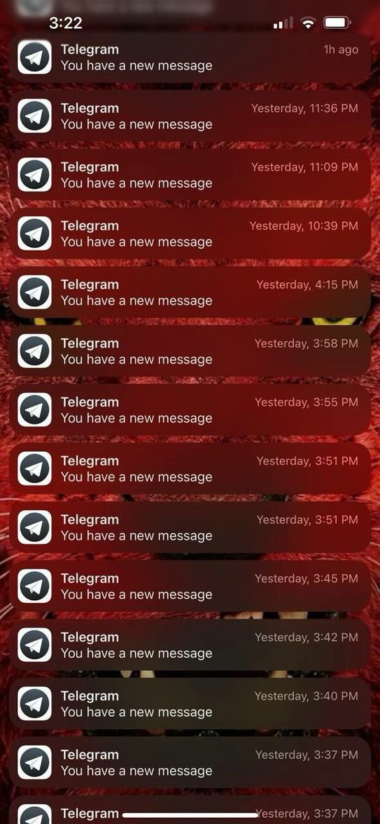 🏳️‍⚧️ TS Smolbacons 🏳️‍⚧️ tweet media