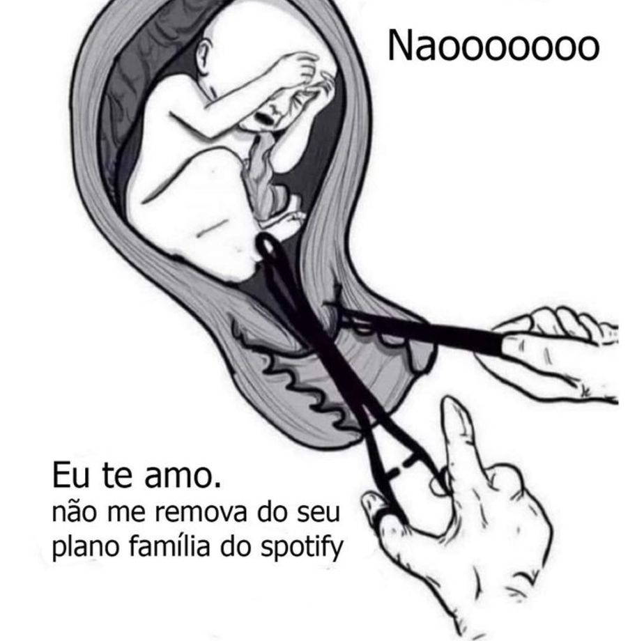 burrosgeniais's tweet image. 