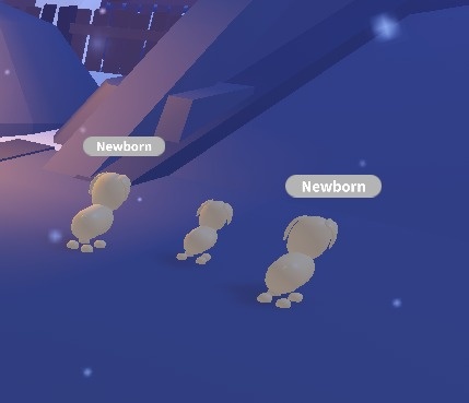 AdoptMeIntel's tweet photo. why is adopt me lowkey becoming like new york 😭 https://t.co/arLtf7TK7A