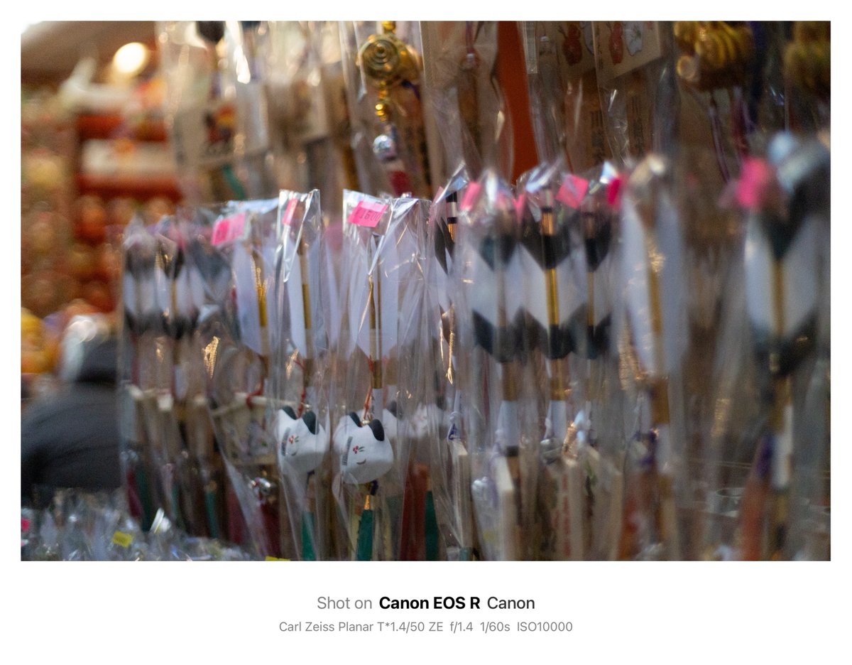 🎍あけましておめでとございます🎍 3日目…最後の日🥹 おはよござい