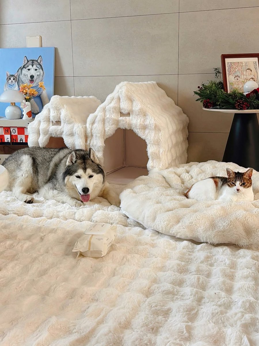 Dog figurine, Porcelain doll (Husky/Shepherd) #피규어,#키덜트,#강아지,#인형,#수집품 on  Bunjang Global Site., image size:900x1200