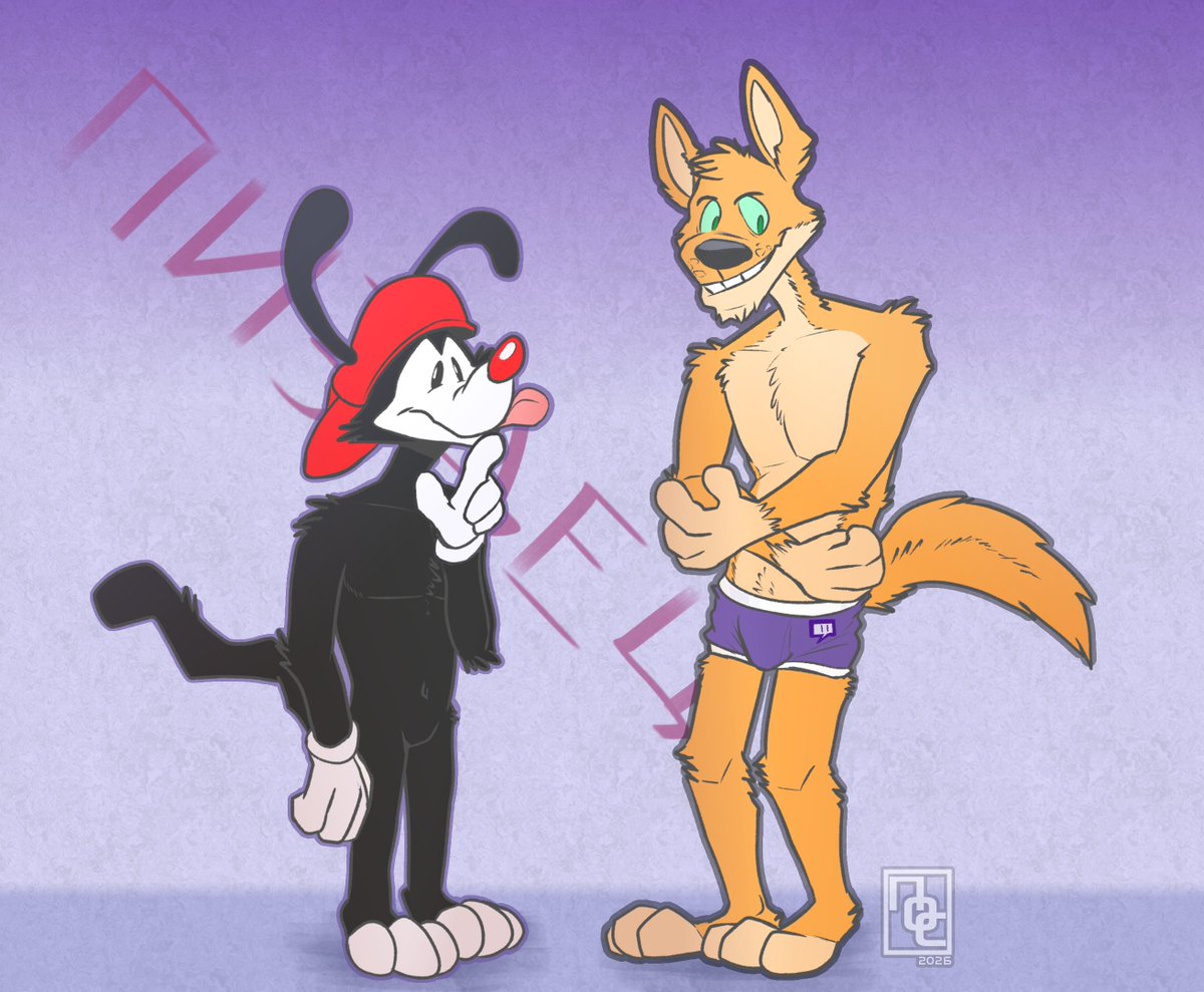 динго tweet media